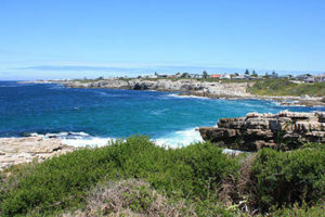 hermanus-2